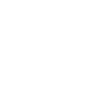 sn88 icon